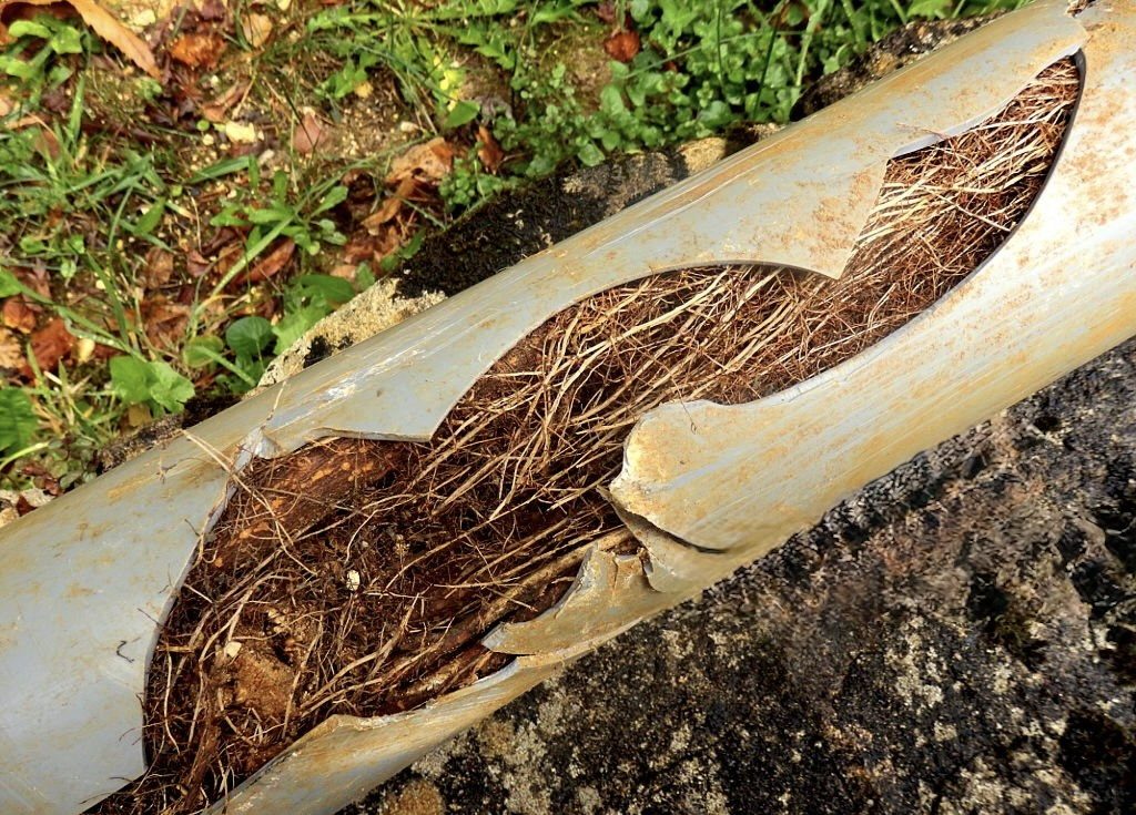 Trenchless sewer repair in Sewer Line Repair Highland Park