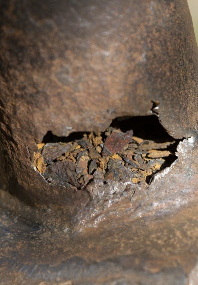 Trenchless Sewer Replacement Los Angeles in Los Angeles